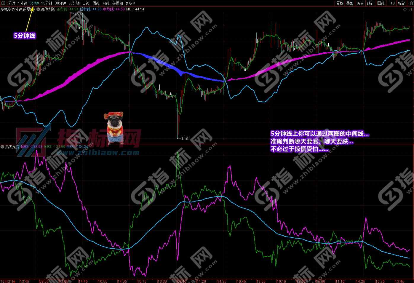 潜龙伏虎凤表龙姿截图
