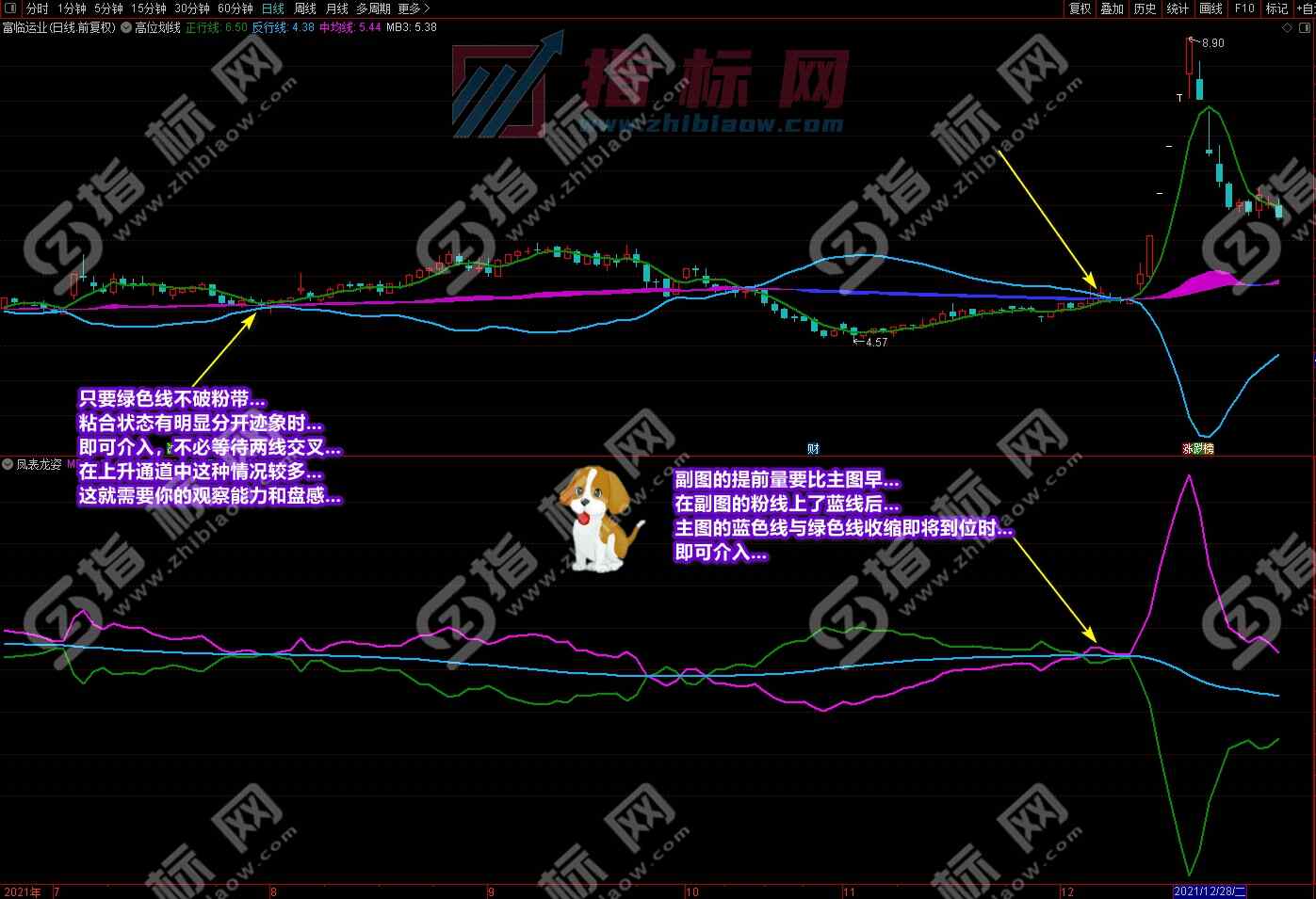 潜龙伏虎凤表龙姿截图