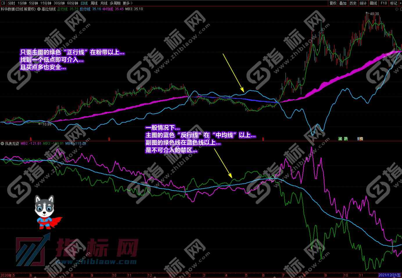 潜龙伏虎凤表龙姿截图