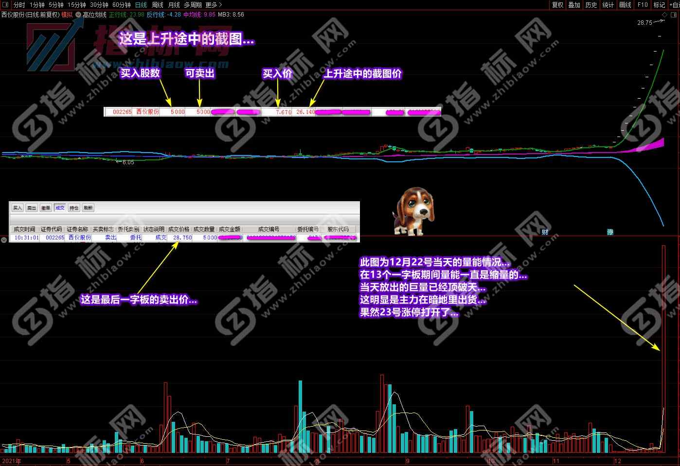 潜龙伏虎凤表龙姿截图