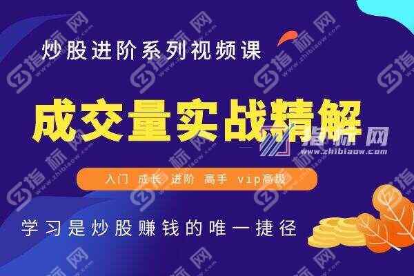 成交量实战精解股票学习视频教程