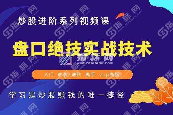 盘口绝技实战技术视频教程