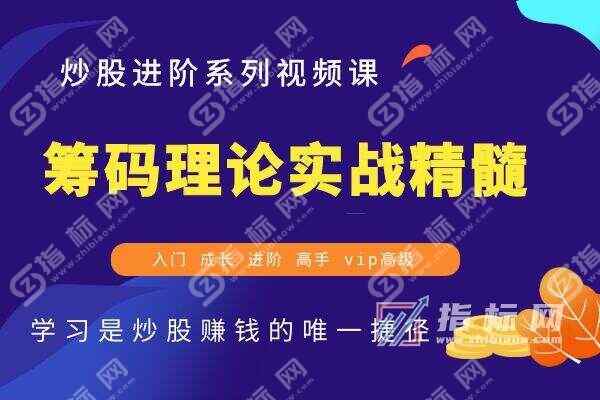 经典筹码理论与实战精髓11节视频教程