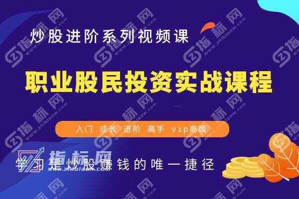 职业股民投资实战课程