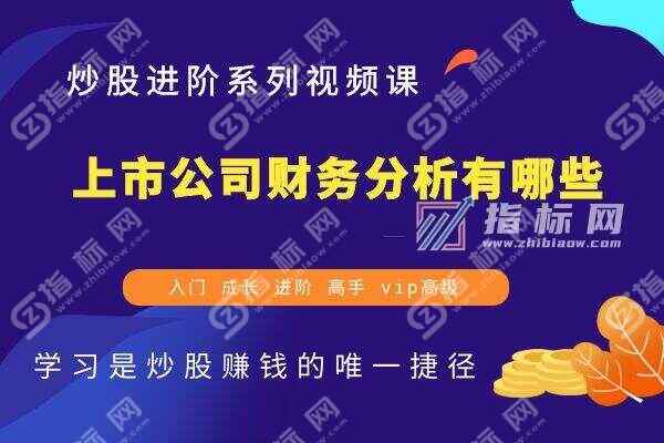 上市公司财务分析有哪些？