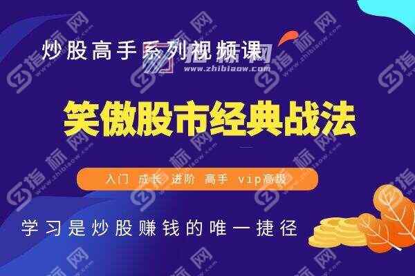 笑傲股市之九大经典战法视频教程全集