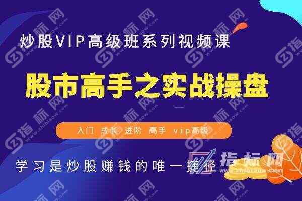 股市高手之实战操盘