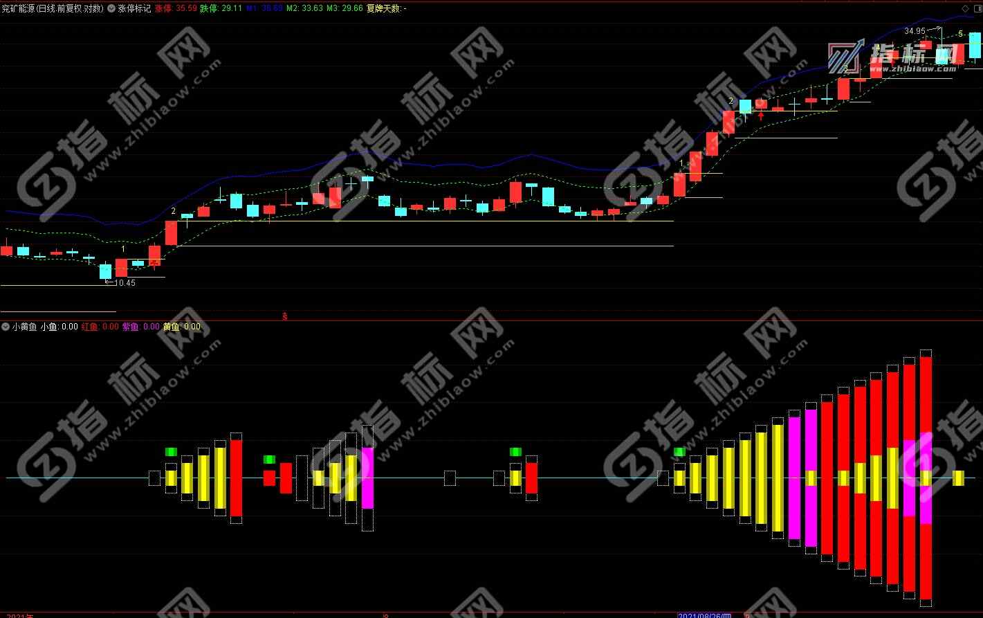 通达信小黄鱼主图+副图+选股指标公式源码