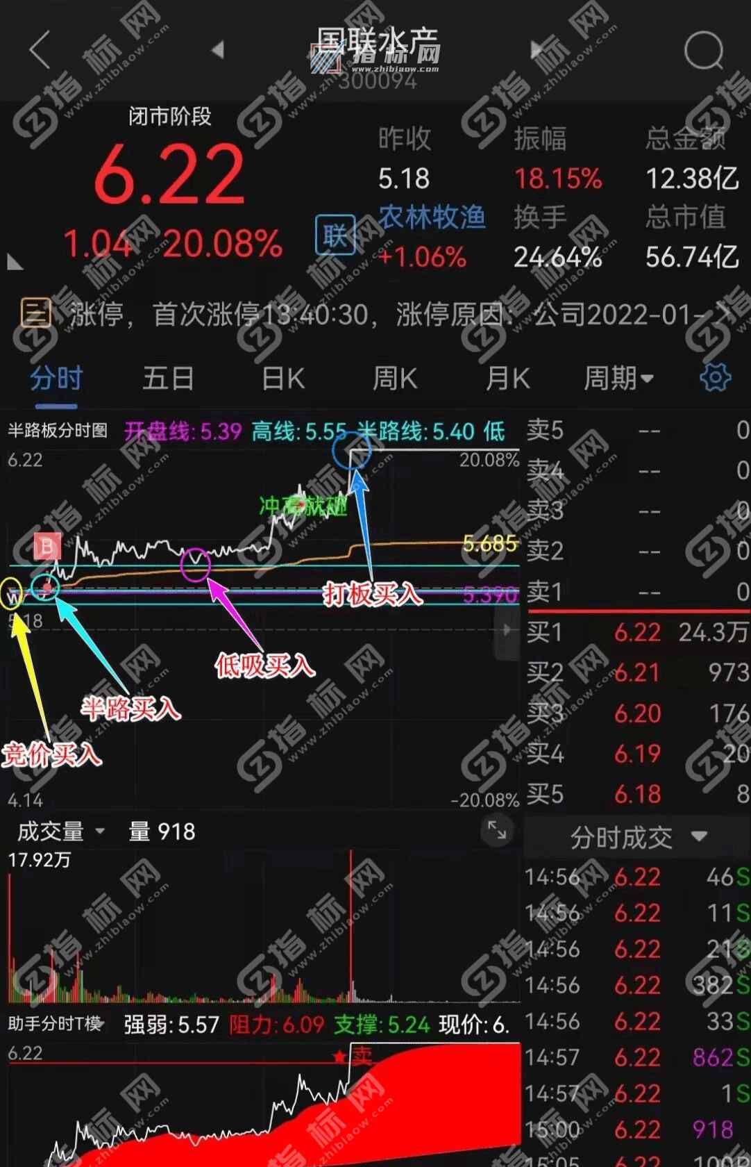 通达信黑马半路板副图及分时冲高就砸分时选股公式源码