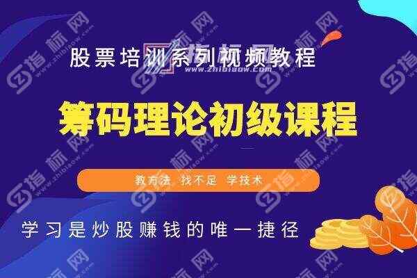 筹码理论初级课程共13节炒股视频教程