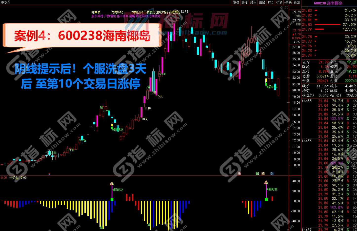 阴阳诀金钻指标