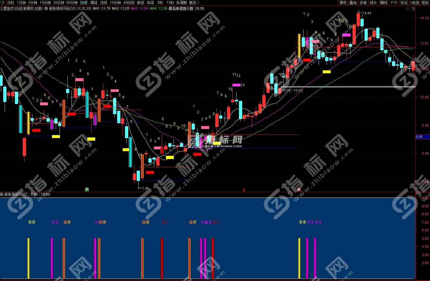 涨停回马枪主图