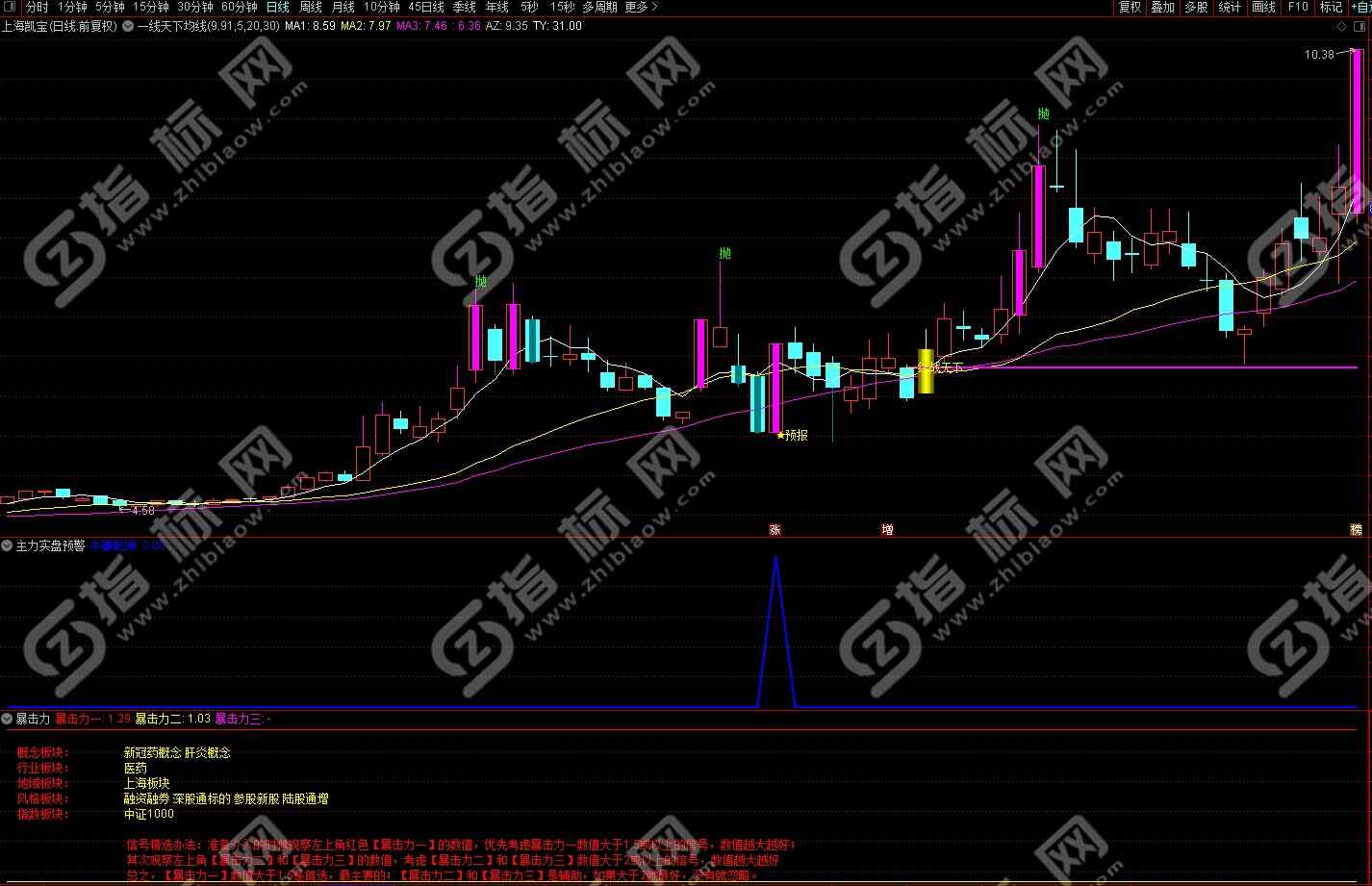 通达信主力实盘预警副图+选股+暴击力副图指标公式源码