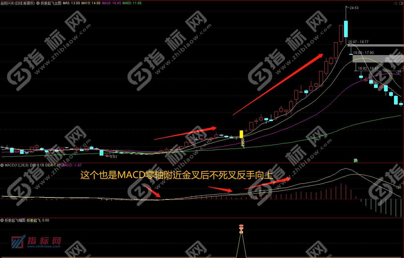 通达信妖股起飞指标案例截图3