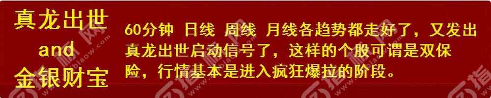 真龙出世指标截图1