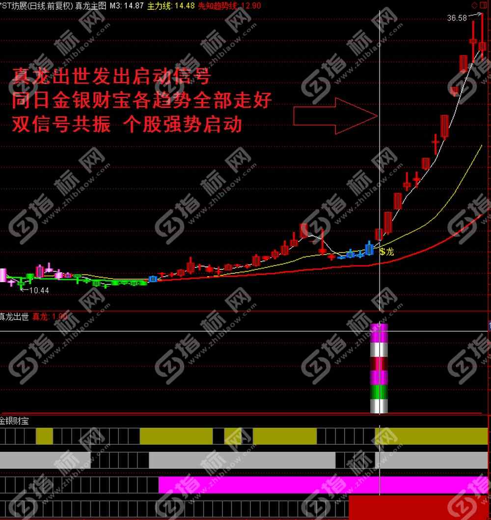 真龙出世指标截图4