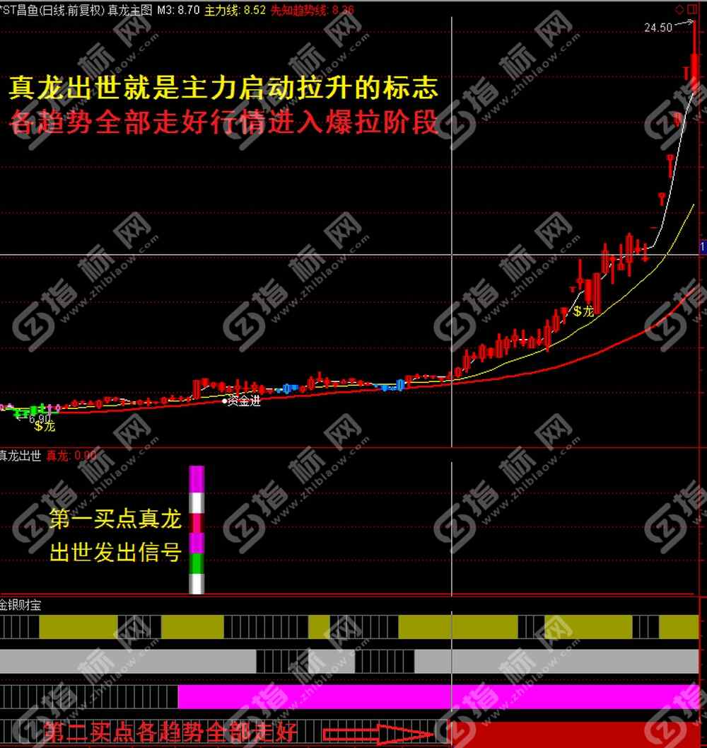 真龙出世指标截图5