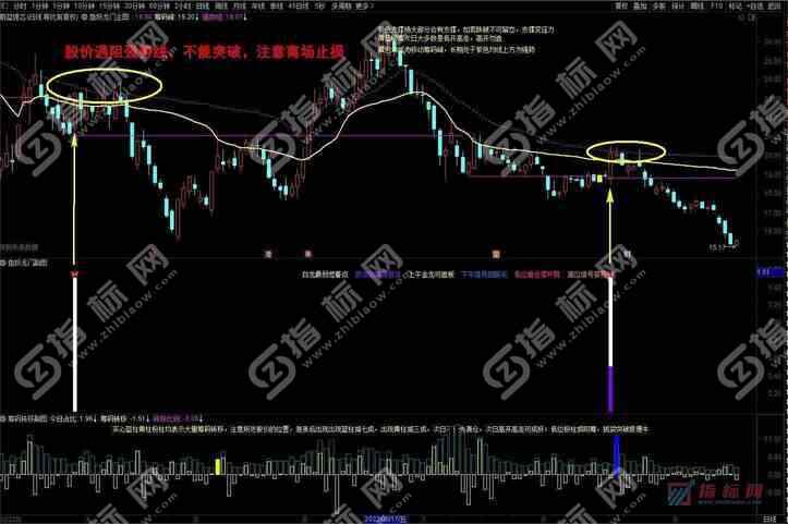 通达信鱼跃龙门捉妖王指标案例截图