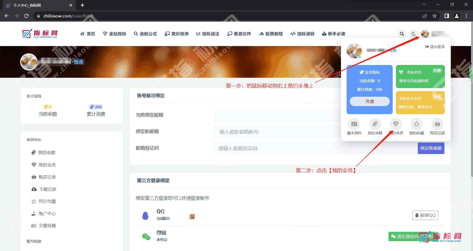 开通会员（包月、包年会员、永久会员）-图文教程