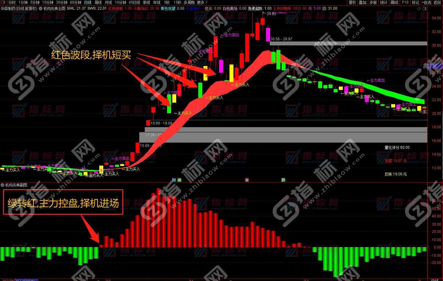 通达信机构庆典