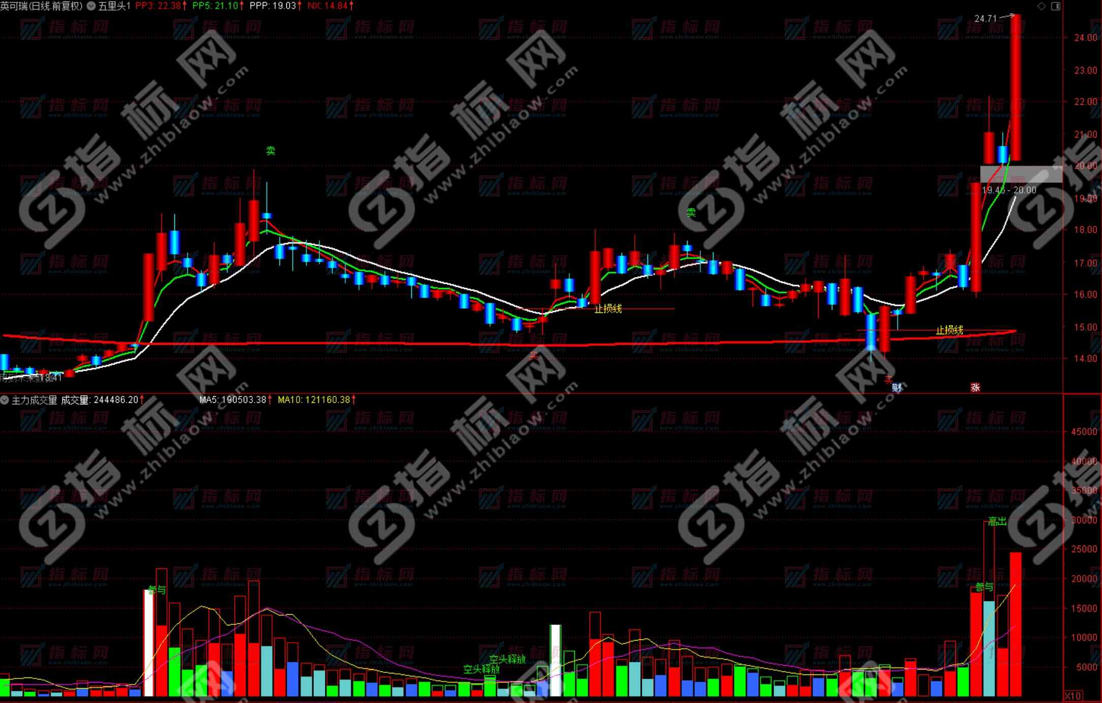 通达信《主力成交量》副图指标公式源码