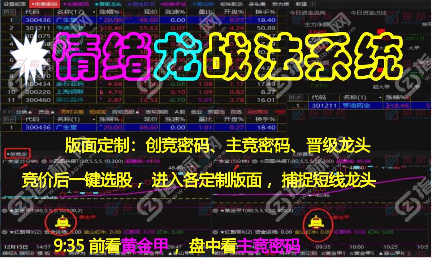 通达信《情绪龙战法系统V5.0》全套源码