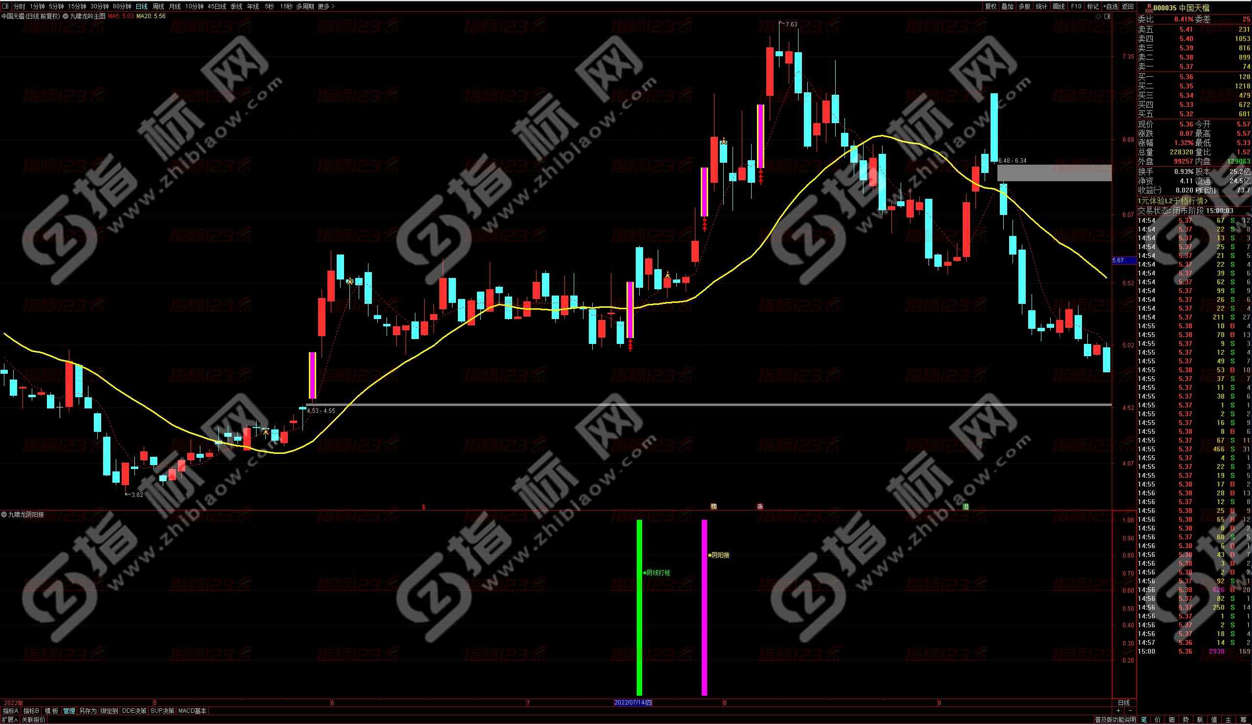 通达信九啸龙吟阴阳接幅图指标公式：解析、使用与实战案例