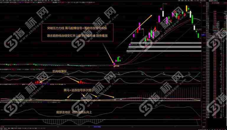 通达信《黑马起爆》全套指标：破解股市密码，轻松捕捉大黑马
