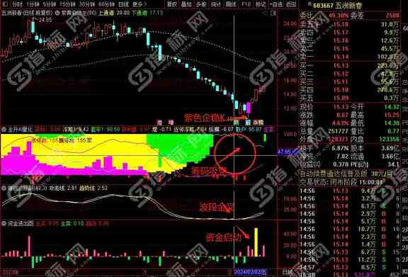 通达信《主升AI量化》主副图9个指标解读